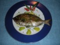 Pesce - Fish
